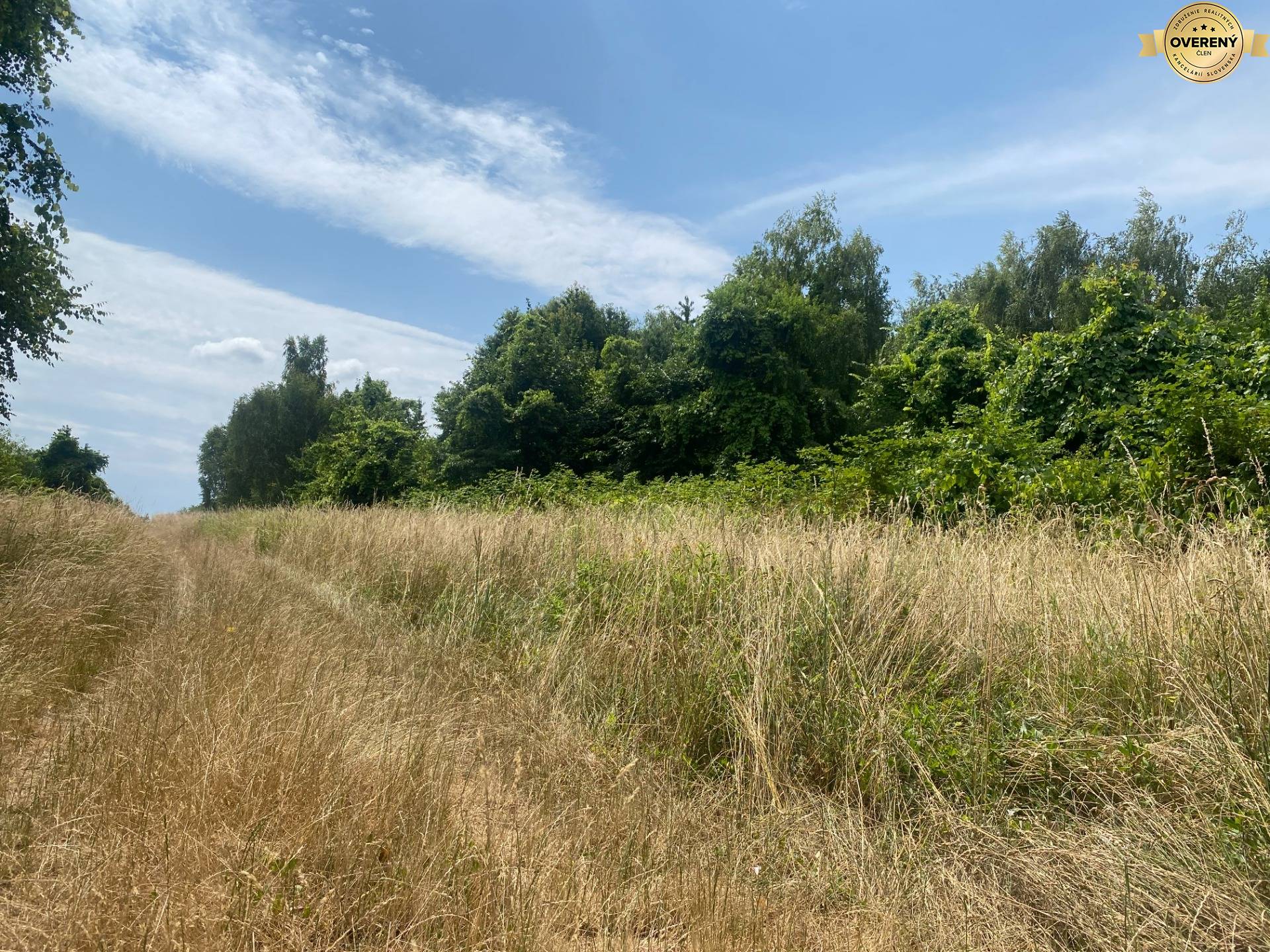 predaj_pozemok_nehnutelnosti_ViNireal_Supava_Zahorie