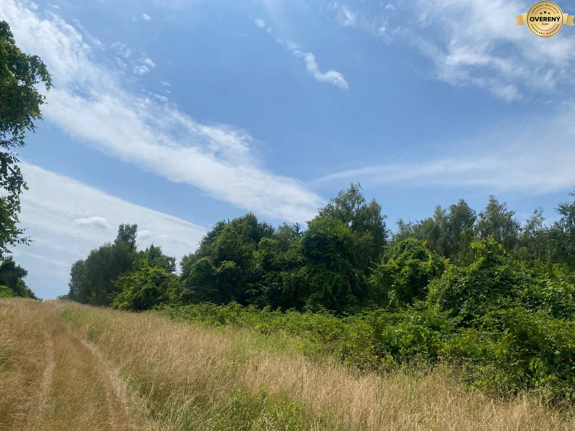 predaj_pozemok_nehnutelnosti_ViNireal_Supava_Zahorie