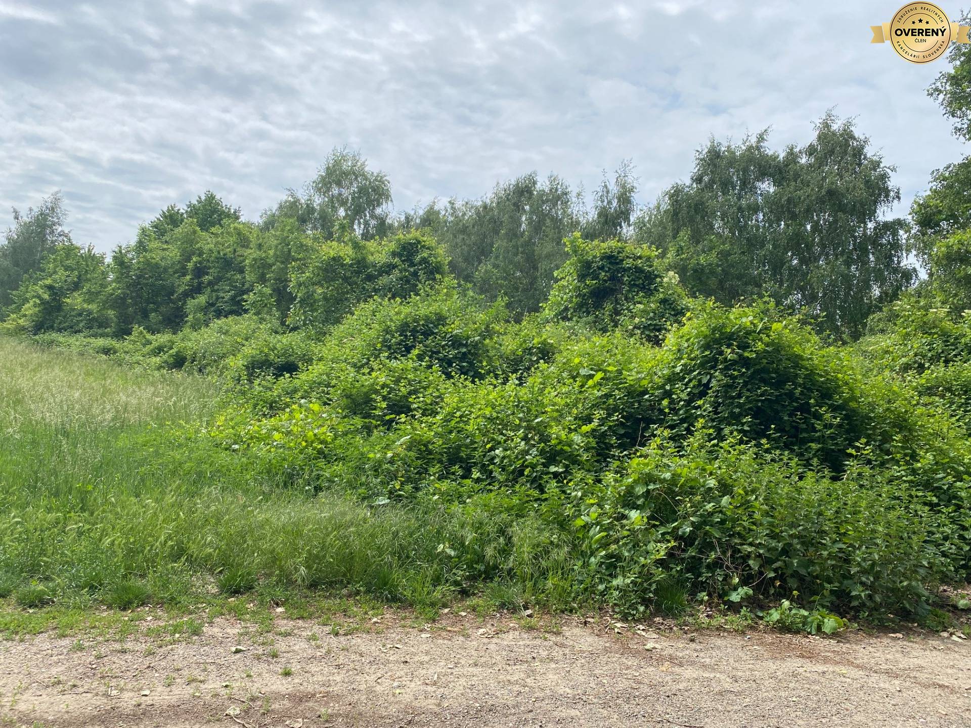 predaj_pozemok_nehnutelnosti_ViNireal_supava_zahorie