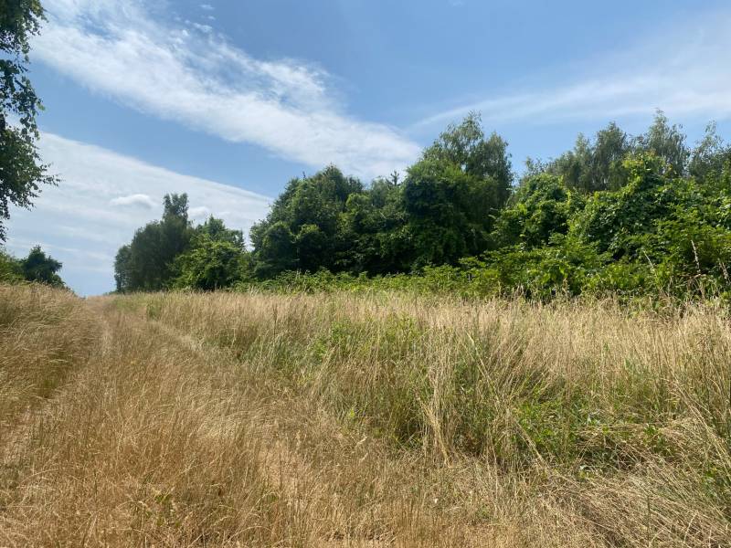 predaj_pozemok_nehnutelnosti_ViNireal_Supava_Zahorie